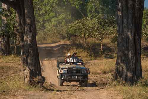 Nsefu Camp - South Luangwa